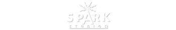 sparkstudiosusa.com